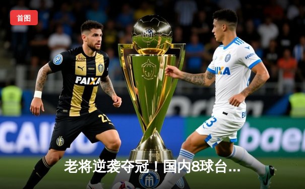 老将逆袭夺冠！国内8球台球挑战赛再现经典对决